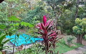 Villa Habarana